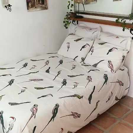 Casa Magica Feriehus Olhão